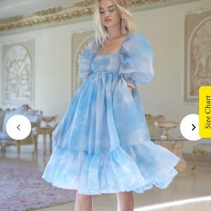 Head in the clouds french puff NWT medium